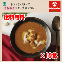2024年3月8日新発売 送料無料 10個セット 楽美健快 トマトとバターのうるおうバターチキンカレー 170g×10個【軽減税率対象商品】 レトルト