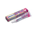 GSK 新ポリグリップ 安定&快適フィットEX 70g 【管理医療機器】