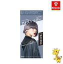 ホーユー ビューティーン メイクアップカラー アイスシルバー 40g+88mL【医薬部外品】