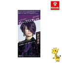 ホーユー ビューティーン メイクアップカラー ディープバイオレット 40g+88mL【医薬部外品】