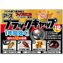 【本日楽天ポイント5倍相当】【メール便で送料無料でお届け 代引き不可】アース製薬株式会社ブラックキャップ 24g(12コ)【医薬部外品】【RCP】【ML385】