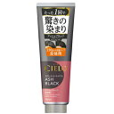 【送料無料】ホーユー株式会社 シエロ カラートリートメント 全体用 アッシュブラック 230g【RCP】【△】