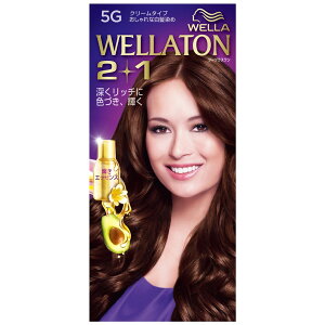 【医薬部外品】プロクター・アンド・ギャンブル・ジャパン株式会社(P&G) WELLATON 2+1(ウエラトーン ツープラスワン) クリームタイプ 5G(自然な暖かみのある栗色) 1セット【RCP】【北海道・沖縄は別途送料必要】