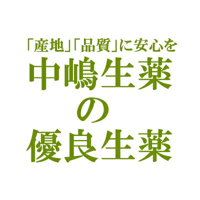 ■製品特徴 グァバは葉や果実に、ビタミンCやビタミンE、ミネラル、カリウムなど様々な栄養成分を豊富に含む果物です。グァバの葉に多く含まれているポリフェノール・タンニンが健康維持に注目を集めています。 ■原材料名 グァバハ ■剤型：その他(短冊切) ■保管及び取扱い上の注意 1．小児の手の届かない所に保管して下さい。 2．直射日光をさけ，なるべく湿気の少ない涼しい所に保管して下さい。 3．誤用をさけ，品質を保持するために，他の容器に入れかえないで下さい。 4．本品には防虫・防カビのために脱酸素剤を封入していますのでこれを一緒に煎じないようにご注意下さい。 5．ご購入の際，万一異常がありましたらお手数ですがお知らせ下さい。 ※中嶋生薬の生薬の特徴として、 同じ生薬でも、前回購入した物と色(濃い薄い・青い茶色い)や大きさが異なる場合がございます。 これは、原料購入時に 産地・土壌・収穫時期(旬)などを見極めて、品質(成分など)が最良なものだけを選んでいるからです。 このように、こだわりの生薬のみを販売しておりますが、 気になることがございましたら、ご遠慮なく、当店(ドラッグピュア)まで、ご連絡ください。 【お問い合わせ先】 こちらの商品につきましては、当店(ドラッグピュア）または下記へお願いします。 中嶋生薬株式会社 電話：075-231-2633 広告文責：株式会社ドラッグピュア 作成：201803SN 神戸市北区鈴蘭台北町1丁目1-11-103 TEL:0120-093-849 製造販売：中嶋生薬株式会社 区分：健康食品・中国産 ■ 関連商品 中嶋生薬　お取り扱い商品 グァバ■　中島生薬について　■明治26年、京都で「中嶋漢方店」の名で開業以来120余年、漢方薬・生薬の卸・製造をしている会社です。中島生薬はできる限り「国産」の原料にこだわっている会社です。安全性・味の濃さ・見た目の美しさ…生薬の品質は、産地や生産者によって大きな差が出ます。しかし、国産生薬は生産者が少なく、収穫される量も多くないため、手に入れるのがむずかしいとされています。そして、国産の良質の素材にこだわり、経験豊富なスタッフが目視での手選別を行います。 「良い素材をつかって・丁寧に仕上げる」を守り続けている会社でもあります。中嶋生薬だけの生産者ネットワーク確かな品質の生薬をご提供できるのは、創業以来、大切にしてきた生産者たちとの信頼関係と、独自のネットワークがあるからです。