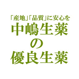 【本日楽天ポイント5倍相当】中嶋生薬株式会社　ナカジマ　桑の枝(桑茶)　500g(日本産・刻み)(クワノエダ・桑枝（ソウシ）)【北海道・沖縄は別途送料必要】