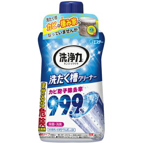 【本日楽天ポイント5倍相当】エステー株式会社　洗浄力 洗たく槽クリーナー 550g【北海道・沖縄は別途送料必要】【CPT】