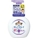 【本日楽天ポイント5倍相当】【送料無料】【P210】【医薬部外品】ライオン株式会社キレイキレイ 薬用泡ハンドソープ フローラルソープの香り ポンプ(250mL)...
