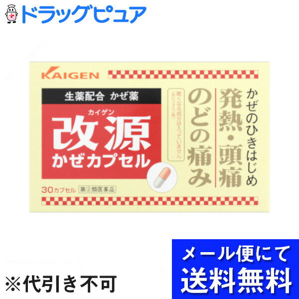 【●メール便にて送料無料でお届け 代引き不可】【第(2)類医薬品】【本日楽天ポイント5倍相当】カイゲ ...