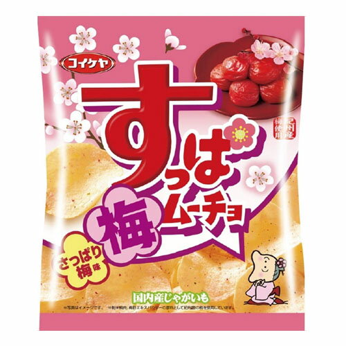 【本日楽天ポイント5倍相当】【送料無料】株式会社湖池屋すっぱムーチョチップス さっぱり梅味(55g)×12個セット【北海道・沖縄は別途送料必要】