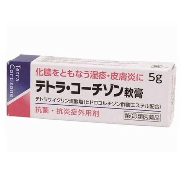 【第(2)類医薬品】【3％OFFクーポン 5/23 20:00～5/27 01:59迄】【定形外郵便で送料無料でお届け】伊丹製薬株式会社テトラ・コーチゾン軟膏 (5g)【TKP200】