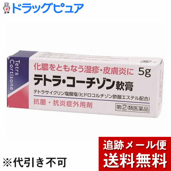 【メール便で送料無料 定形外発送の場合あり】【第 2 類医薬品】【本日楽天ポイント5倍相当】伊丹製薬株式会社テトラ・コーチゾン軟膏 5g 【ドラッグピュア楽天市場店】【RCP】