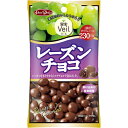 【送料無料】株式会社正栄デリシィ果実Veil レーズンチョコ(47g)×12個セット【ドラッグピュア楽天市場店】【北海道・沖縄は別途送料必要】