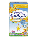 【定形外郵便で送料無料】ユニ・チャーム株式会社チャームナップ吸水さらフィ 安心の少量用 22枚【RCP】【TK350】