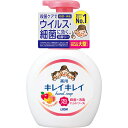 ライオン株式会社キレイキレイ薬用泡ハンドソープ フルーツミックスの香り 本体大型サイズ 500ml【医薬部外品】【RCP】(4)