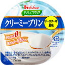 【送料無料】【お任せおまけ付き♪】ハウス食品株式会社 やさしくラクケア クリーミープリンチーズケーキ風味 63g×48個セット<たんぱく質0g>(商品発送まで6...