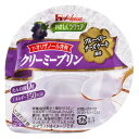 【送料無料】【お任せおまけ付き♪】ハウス食品株式会社 やさしくラクケア クリーミープリン ブルーベリーチーズケーキ風味 63g×48個セット<たんぱく質0g>(...