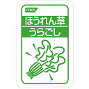 ホリカフーズ株式会社　オクノス（OKUNOS）ほうれん草　うらごし　100g×40袋