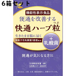 【本日楽天ポイント5倍相当】有限会社 ナチュラルウェーブ快通ハーブ粒+乳酸菌　120粒×6個セット【機能性表示食品(便通が気になる方に)】【RCP】関連商品：楽美健快　快適ハーブ粒