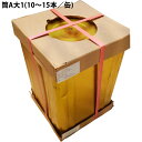 【メーカー直送の場合がございます】【送料無料】【お任せおまけ付き♪】株式会社竹商 中国産 筍水煮缶詰 筒A大1(10-15本/缶) 18L缶(固形11kg)[業...