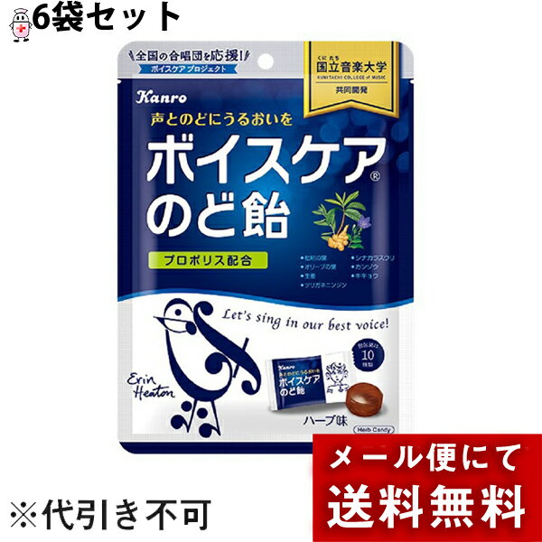 【本日楽天ポイント5倍相当】【☆】【メール便で送料無料 ※定形外発送の場合あり】カンロ株式会社　ボイスケアのど飴…