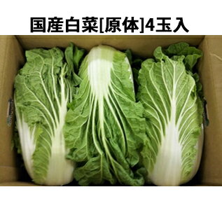 【送料無料】株式会社サトー食品　国産白菜[原体］4玉入(約9kg)＜兵庫県神戸市から新鮮な野菜をお届けします＞(商品発送までに7日～14日かかります）（この商品は注文後のキャンセルができません)　【単送】