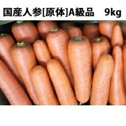 【本日楽天ポイント5倍相当】【送料無料】株式会社サトー食品　国産人参[原体］A級品　9kg入＜兵庫県神戸市から新鮮な野菜をお届けします＞(商品発送までに7日～14日かかります）（この商品は注文後のキャンセルができません)　【単送】