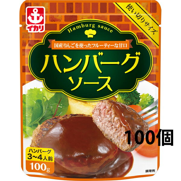 イカリソース 株式会社　イカリハンバーグソース100gパウチ×100個セット（商品到着までお時間を頂戴する場合がございます）