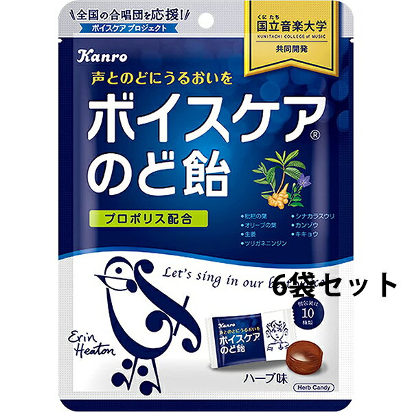 【本日楽天ポイント5倍相当!!】【☆】【送料無料】カンロ株式会社　ボイスケアのど飴　70g入×6袋セット［個包装タイプ］＜音楽大学との共同開発＞【ドラッグピュア楽天市場店】【RCP】【△】【北海道・沖縄は別途送料必要】