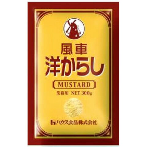 【本日楽天ポイント5倍相当】ハウス食品株式会社風車洋からし　300g×10入×2（発送までに7～10日かかります・ご注文後のキャンセルは出来ません）【RCP】