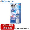 【本日楽天ポイント5倍相当】【定形外郵便で送料無料でお届け】エステー株式会社洗浄力 モコ泡わ ノズル専用クリーナー 40ml【ドラッグピュア】【TK390】
