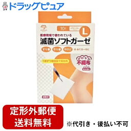 【本日楽天ポイント5倍相当】【定形外郵便で送料無料でお届け】【R728】大衛株式会社　ameshyst(アメジスト)　滅菌ソフトガーゼ　不織布タイプ　Lサイズ　10枚入【一般医療機器】＜医療現場で使われている＞【ドラッグピュア】【TKG220】