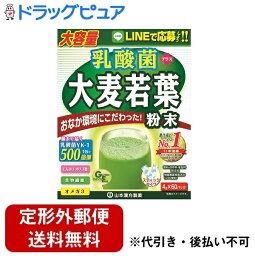 【3％OFFクーポン 4/30 00:00～5/6 23:59迄】【定形外郵便で送料無料でお届け】山本漢方製薬株式会社　乳酸菌プラス大麦若葉粉末 大容量 4g×60包入【ドラッグピュア】【TK510】