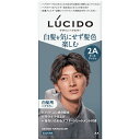 【本日楽天ポイント5倍相当】【送料無料】株式会社マンダム LUCIDO(ルシード) デザインヘアカラー クールアッシュ 白髪染め メンズ【医薬部外品】 1剤 35g/2剤 70ml/アフタートリートメント 5g【ドラッグピュア楽天市場店】【RCP】【△】