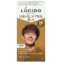 【本日楽天ポイント5倍相当】【送料無料】株式会社マンダム ルシード デザインヘアカラー モダンブラウン【医薬部外品】 1剤 35g/2剤 70ml/アフタートリートメント 5g【ドラッグピュア楽天市場店】【RCP】【△】