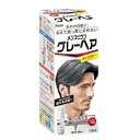 【送料無料】ホーユーメンズビゲン グレーヘア ダークグレー【ドラッグピュア楽天市場店】【RCP】【△】