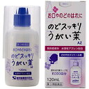 【送料無料】【第3類医薬品】健栄製薬株式会社 のどスッキリうがい薬AZ 120ml【ドラッグピュア楽天市場店】【RCP】【△】
