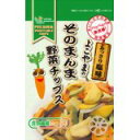 ヨコヤマコーポレーション『よこやまのそのまんま野菜チップス 100g』【ドラッグピュア】