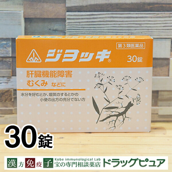 【☆】【第3類医薬品】肝臓・腎臓に起こる苦情に剤盛堂薬品　ホノミ漢方　ジョッキ　30錠【北海道・沖縄は別途送料必要】【P1C】ホノミ漢方薬ジョッキ【CPT】