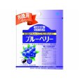 【本日楽天ポイント5倍相当】【定形外郵便で送料無料でお届け】目にいいおまけ付き！小林製薬株式会社ブルーベリー お徳用（350mg×60粒）【TKP140】