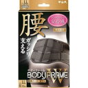 【楽天スーパーSALE 6/4 20:00〜3%OFFクーポン!】【送料無料】中山式産業株式会社中山式 ボディフレーム 腰用ハードWLLサイズ 【ドラッグピュア...