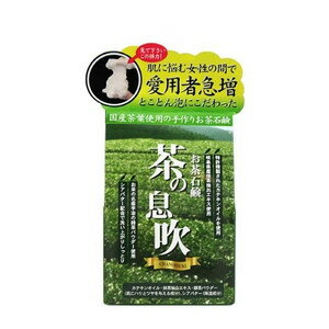 【本日楽天ポイント5倍相当】ケンネット カテキン石けん 茶の息吹 90g【北海道・沖縄は別途送料必要】