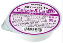 【3%OFFクーポン 5/9 20:00〜5/16 01:59迄】【送料無料】ホリカフーズ株式会社オクノスカロリー&カルシウム ぶどう味 80g×24個<Cal...