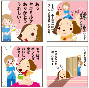 脱脂粉乳 オトナのヤギミルク オランダ産 低脂肪 やぎミルク パウダー 50g 犬用 オーガニック ヤギミルク ゴートミルク milk goatmilk ミルク 犬 猫 小動物