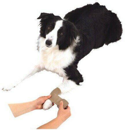 老犬介護用 巻くだけ伸縮包帯 1個 フリーサイズ 全犬種用