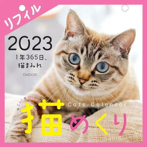 猫めくり 2023年 リフィル【中央経済社】【メール便送料無料】【10月5日より発送】【lp】