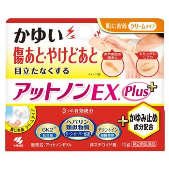 【第2類医薬品】アットノンEX かゆみ止めプラス 10g【小林製薬】【メール便送料無料】【sp】