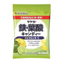 サヤカ 鉄 葉酸キャンディー レモンライム味 65g【サンプラネット】【メール便3個まで】