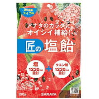 サラヤ 匠の塩飴 スイカ味 100g【サラヤ】