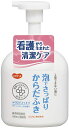 ピジョン PJ 泡でさっぱりからだふき 500ml【4902508110457】