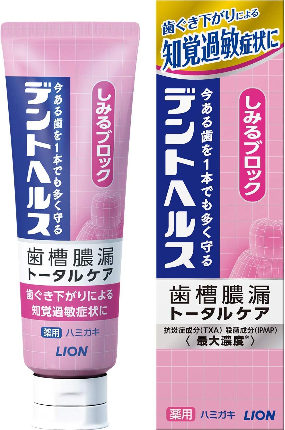 【送料無料】デントヘルス 薬用ハミガキ しみるブロック(85g)【4903301249061】【デントヘルス】